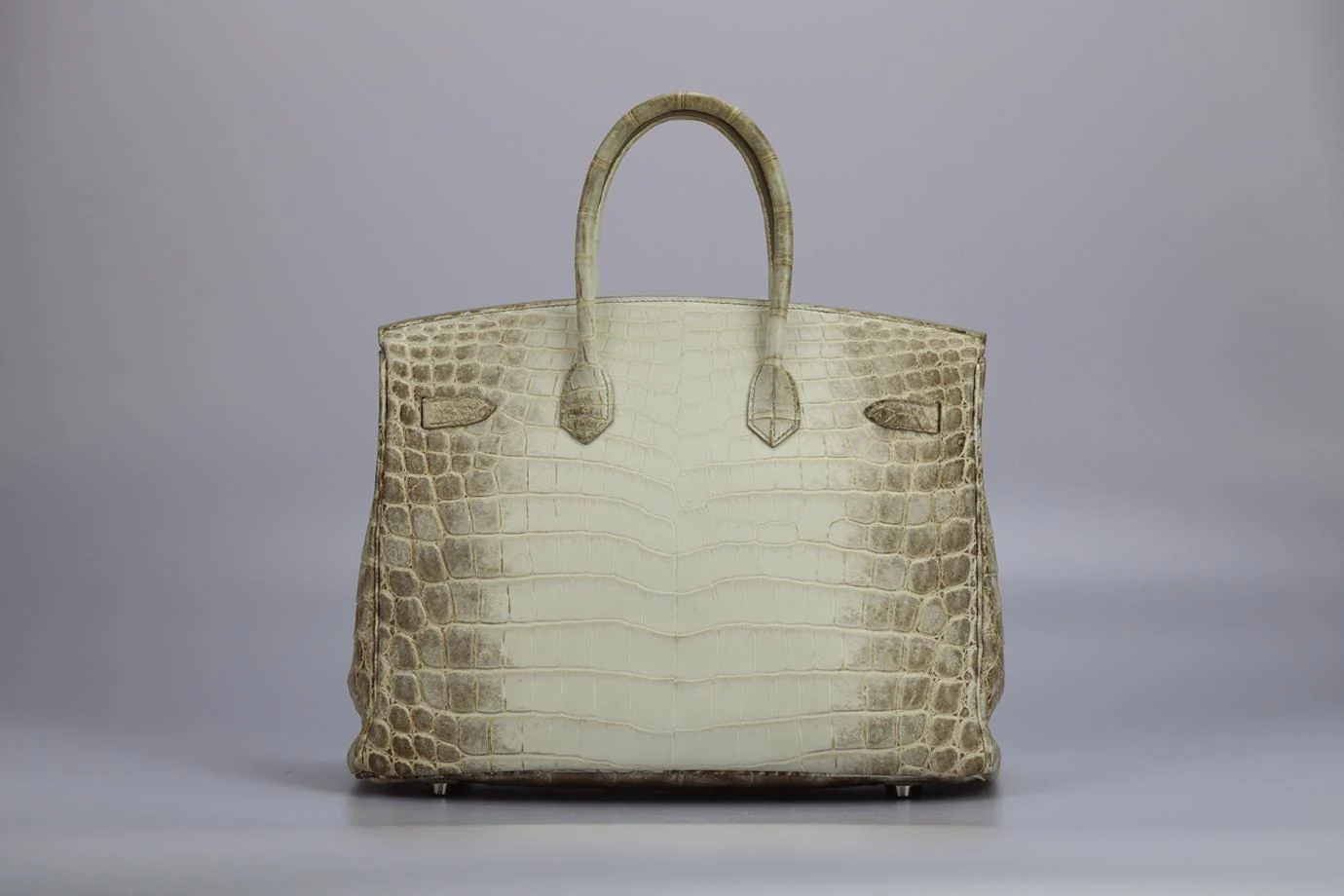 HERMÈS 2011 BIRKIN 35CM HIMALAYAN MATTE NILOTICUS CROCODILE BAG - Image 6