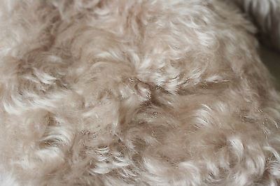 MARIE CHANTAL BABY STEIFF BEIGE FUR COAT SMALL 6-12 MONTHS - Image 6