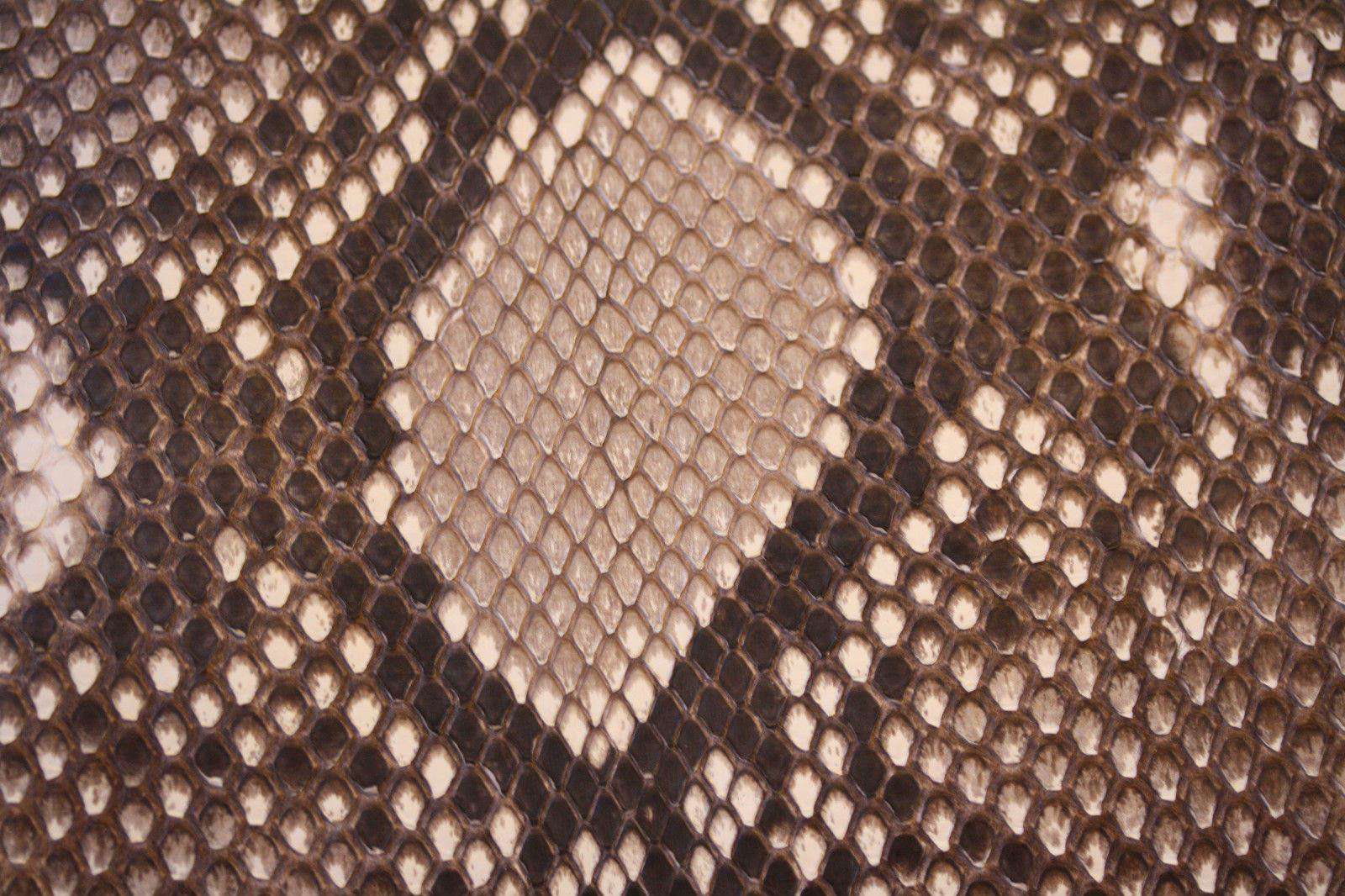 STARK AT HARRODS NATURAL PYTHON GOLD STUD OVERSIZED CLUTCH BAG - Image 4